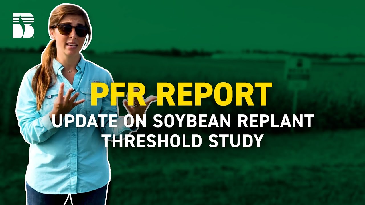 Update on Soybean Replant Threshold Study | Beck's PFR Report