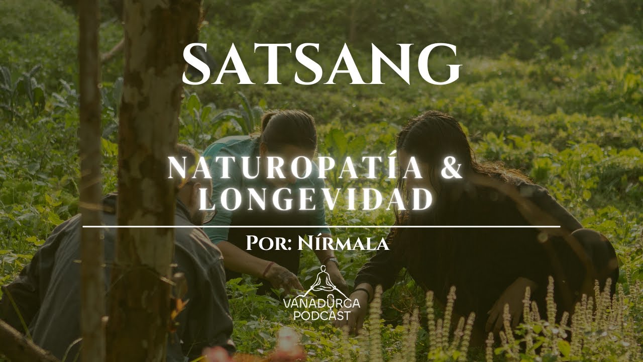 Naturopat&iacute;a Pte.1: la base de la salud y por qu&eacute; tu cuerpo ya sabe sanar