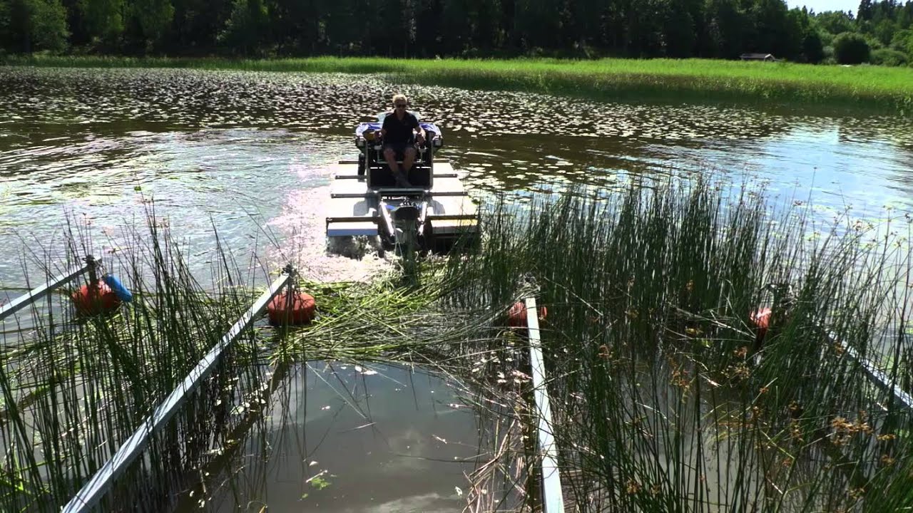 tommy & ghitas sommarvik 2013