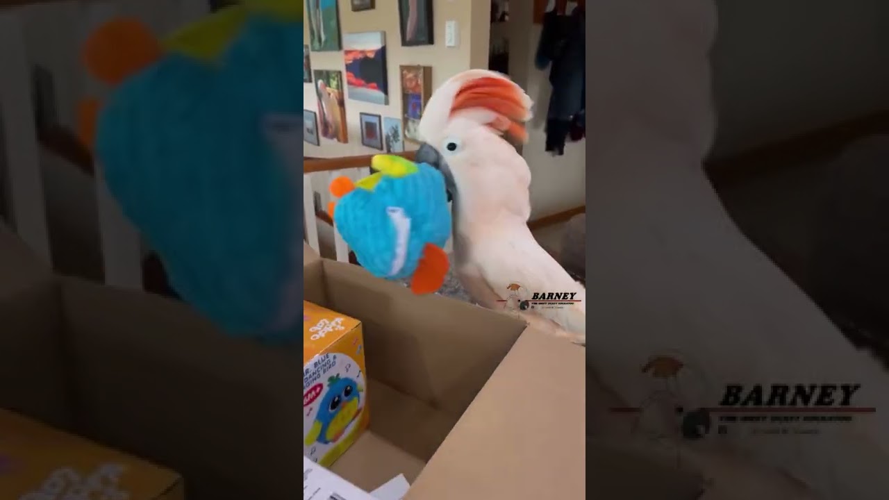 It’s the Mr AL toy! Barney loves these toys! 🧡🦖🧡