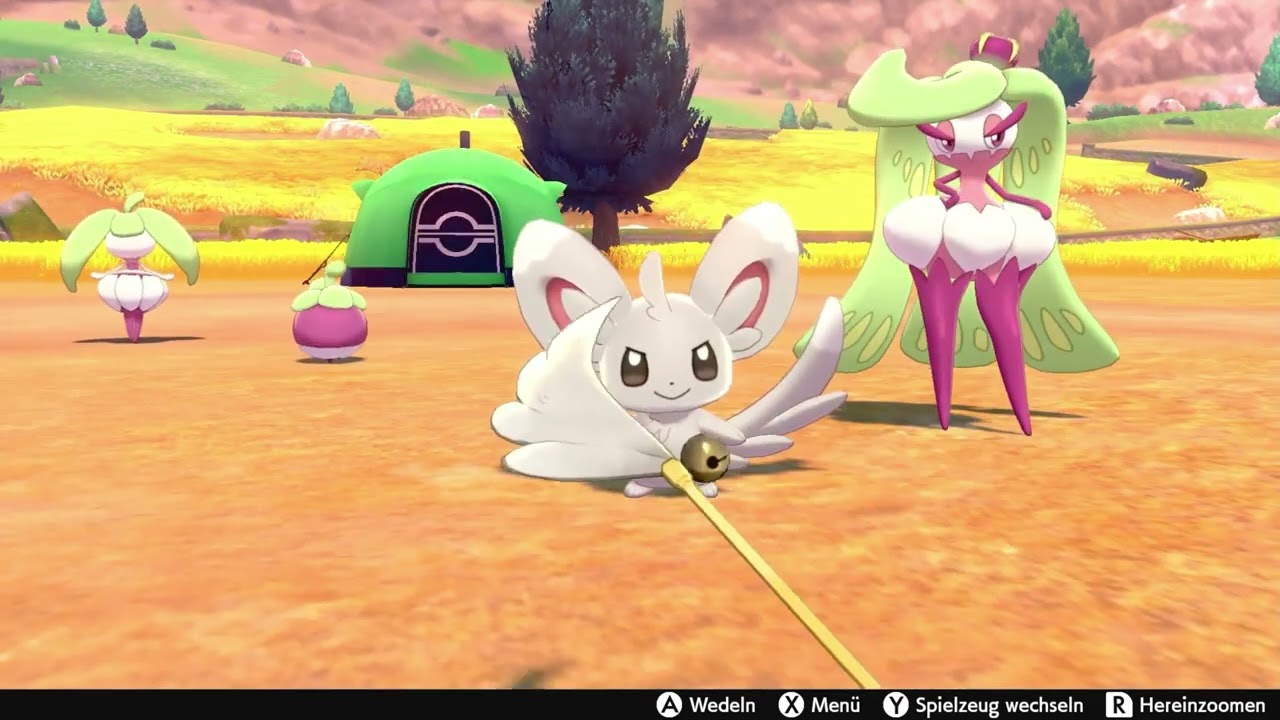 Pokémon Sword/Shield - Playing Feather Wand with Picochilla / Minccino