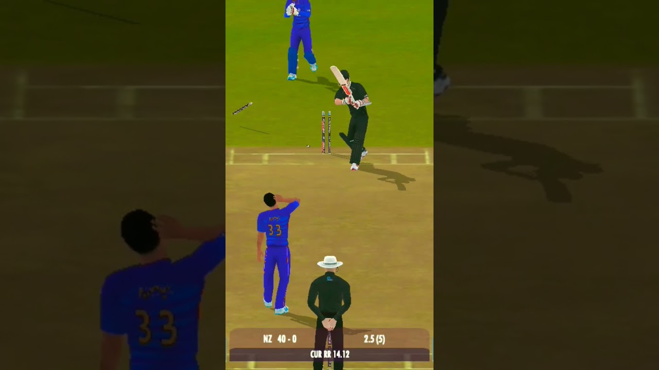 OUTSTANDING WICKET BY HARDIK #technicalgamer