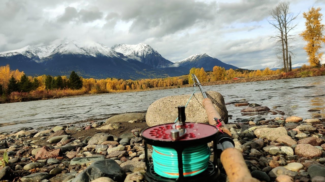 Skeena 2024