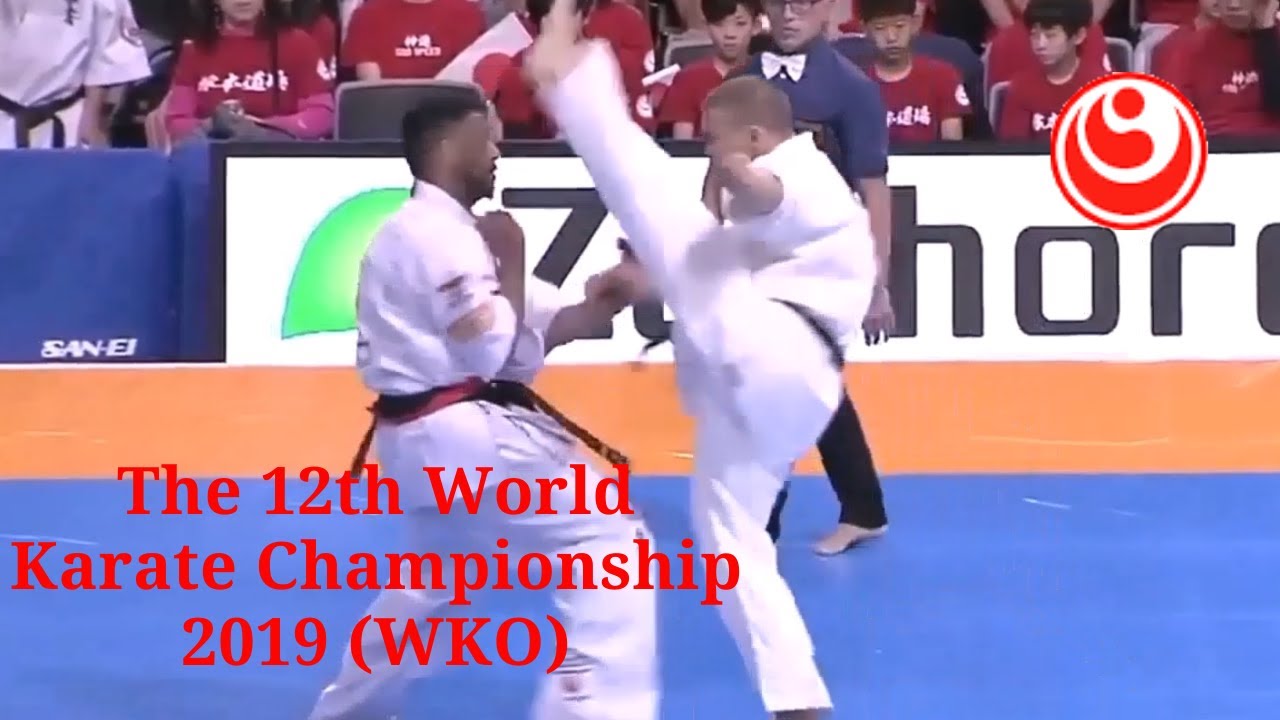 12-й Абсолютный  Чемпионат Мира по каратэ Шинкиокушинкай (WKO), 11. 2019 г., Токио, лучшие моменты