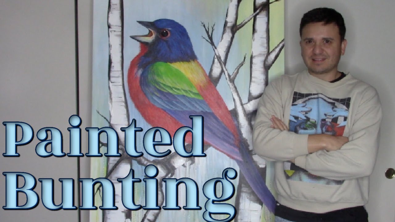 How to Draw a Bird | Drawing and Painting a Painted Bunting