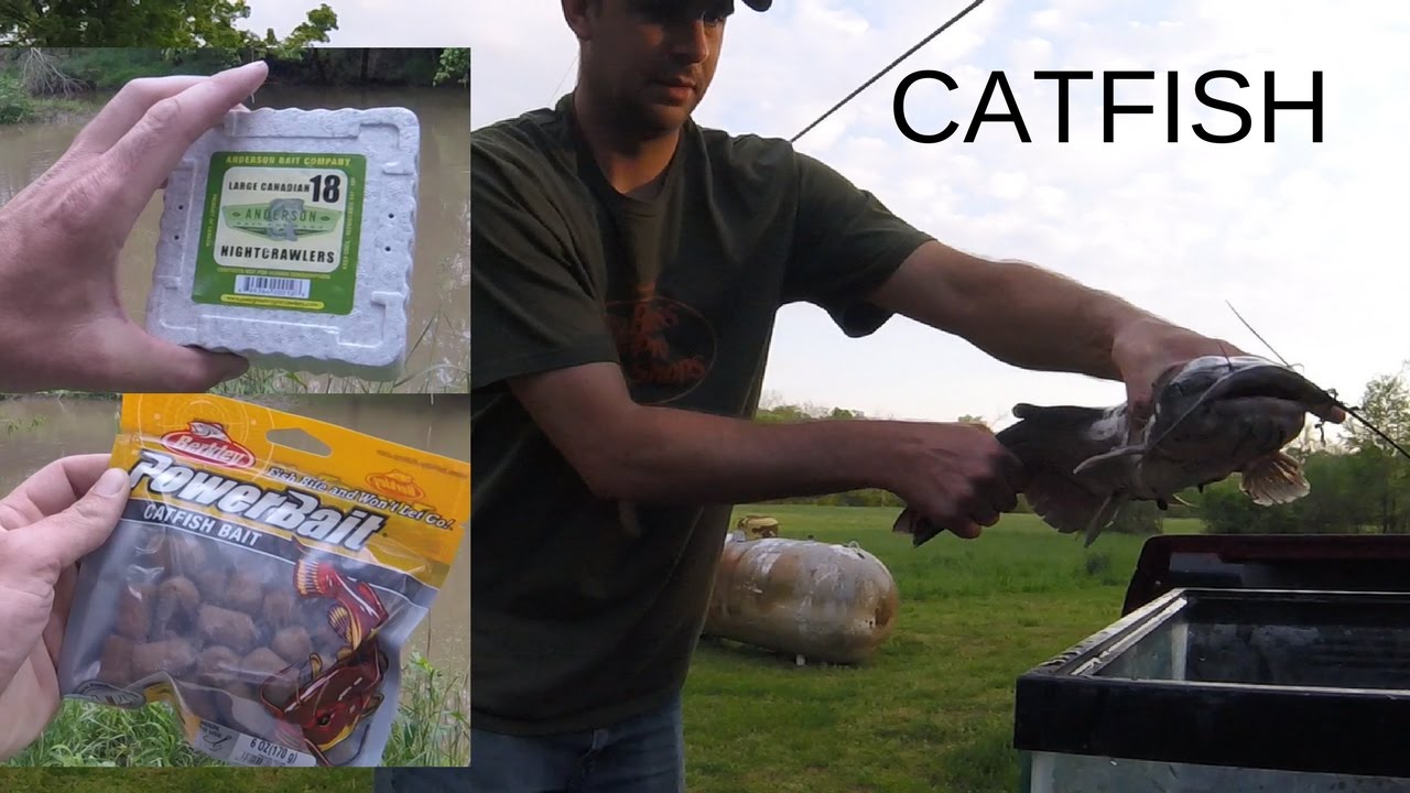 FISHING ROGERS CREEK AT MY HOUSE PART 2