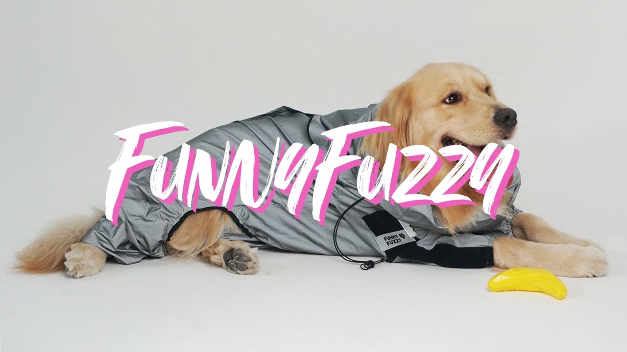 Reflective Space Dog Raincoat🐾Keep Dog Safe in the dark✨Keep dog dry from rainy days☔FunnyFuzzy