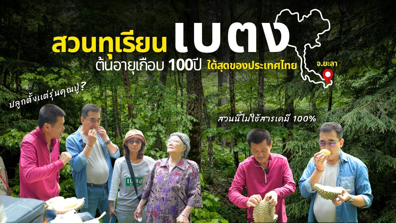 EP.1 สวนทุเรียนป่า เบตง จ.ยะลา ที่เกษตรกรหลายคนไม่มีโอกาสได้เห็น