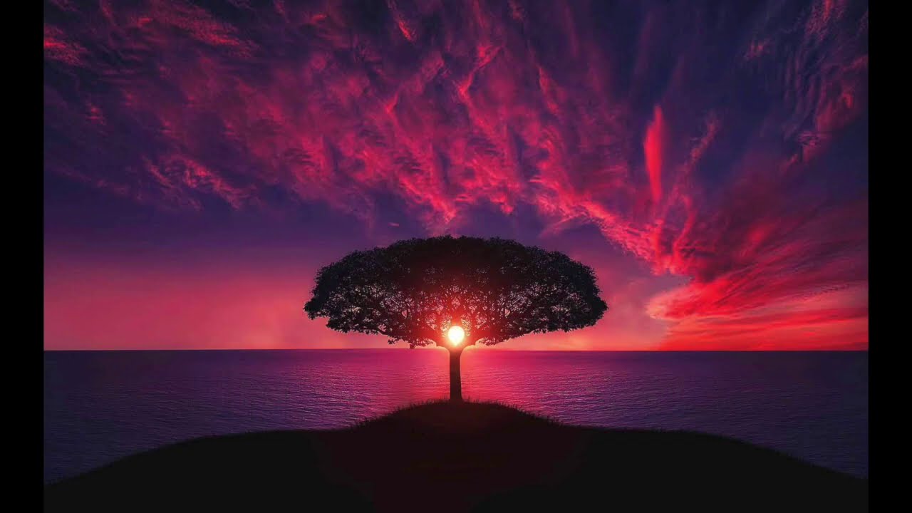 Tommaso Paradiso - Ricordami - Karaoke High Quality