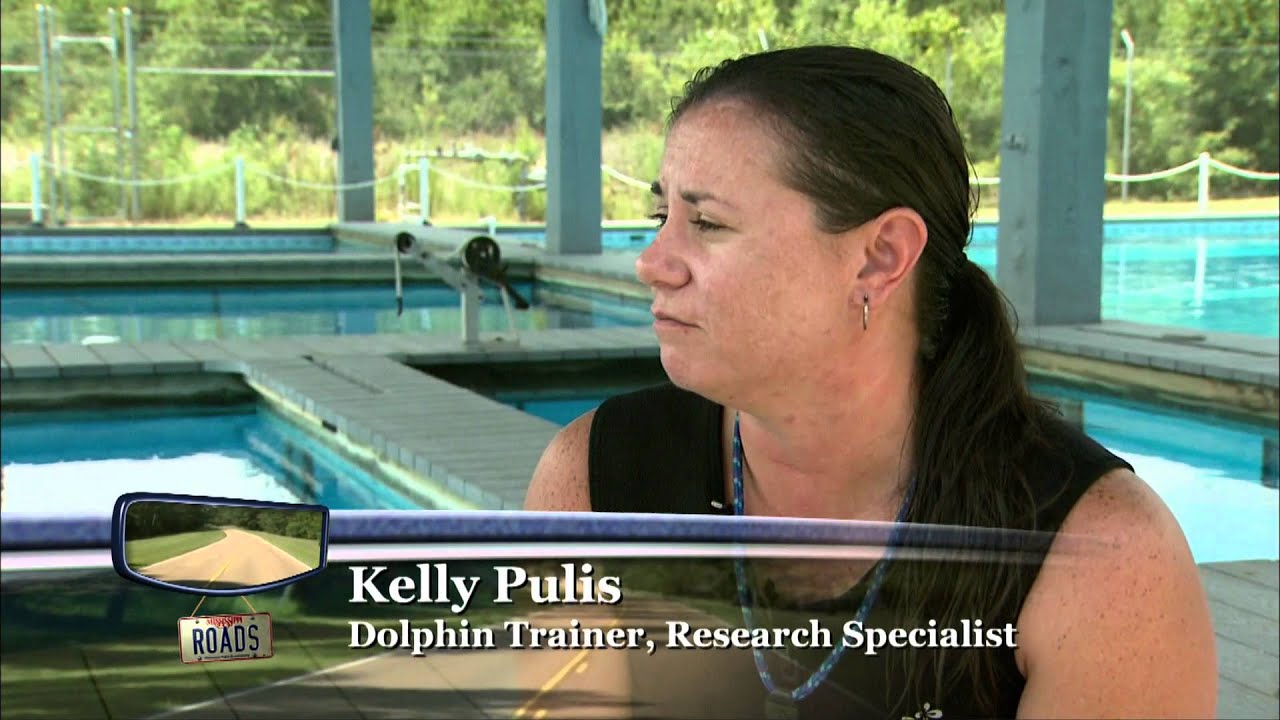 The Institute for Marine Mammal Studies | Mississippi Roads | MPB