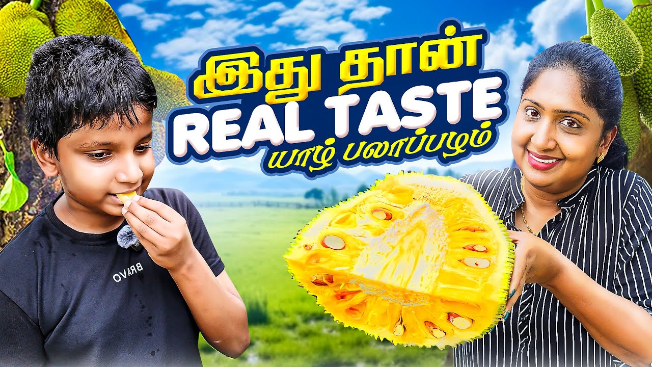 அம்மா போல ஒரு நாய் குட்டி 😂 | Menaka’s World