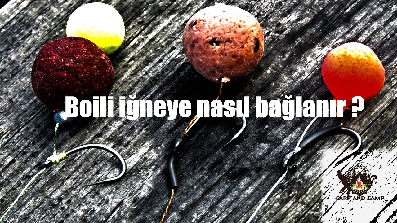 BÜYÜK SAZAN AVLARI İÇİN BOİLİ TAKTİKLERİ