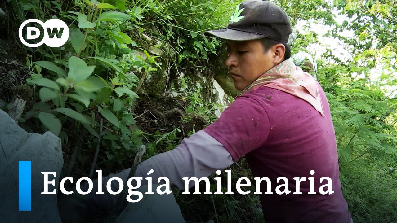 Cooperativismo indígena y medio ambiente