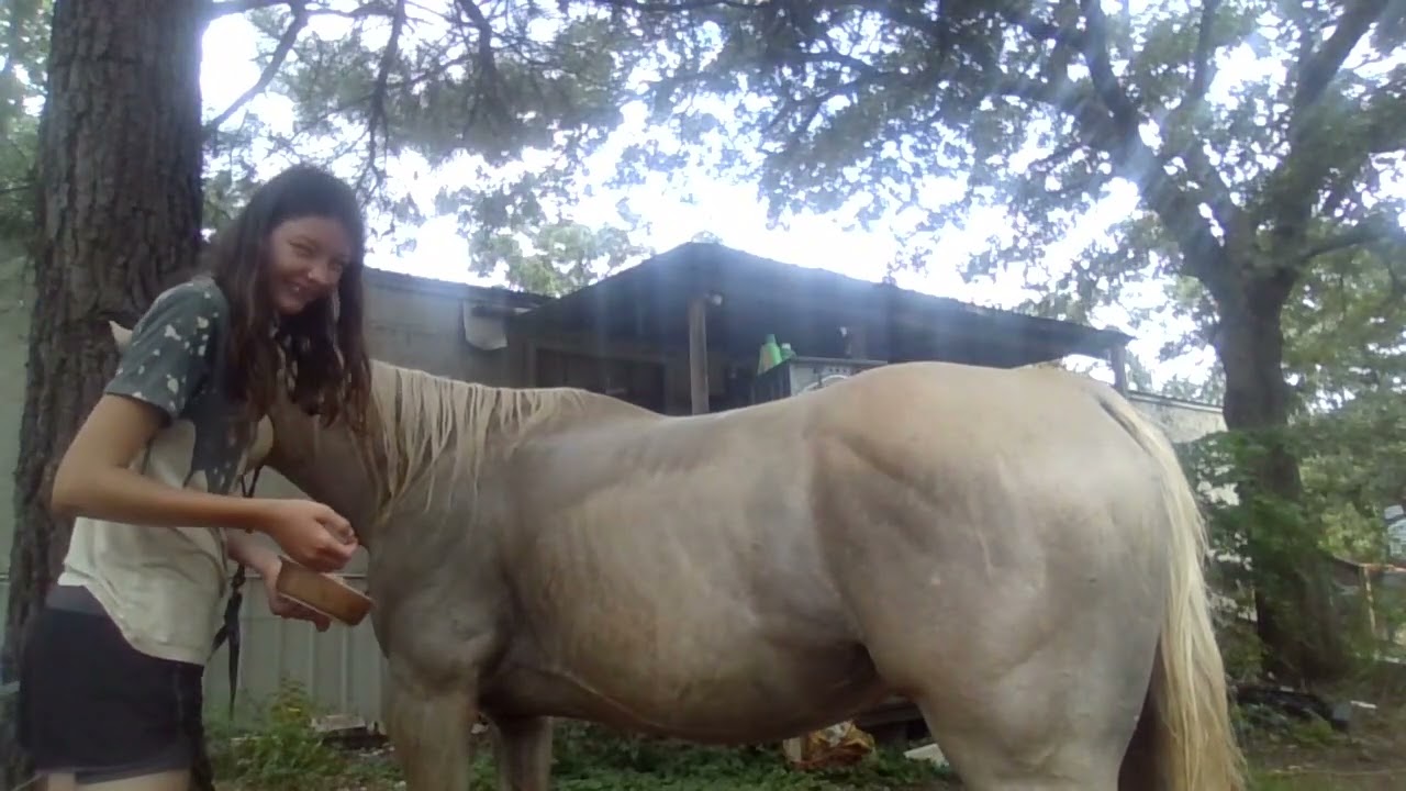 part 3 washing eggong