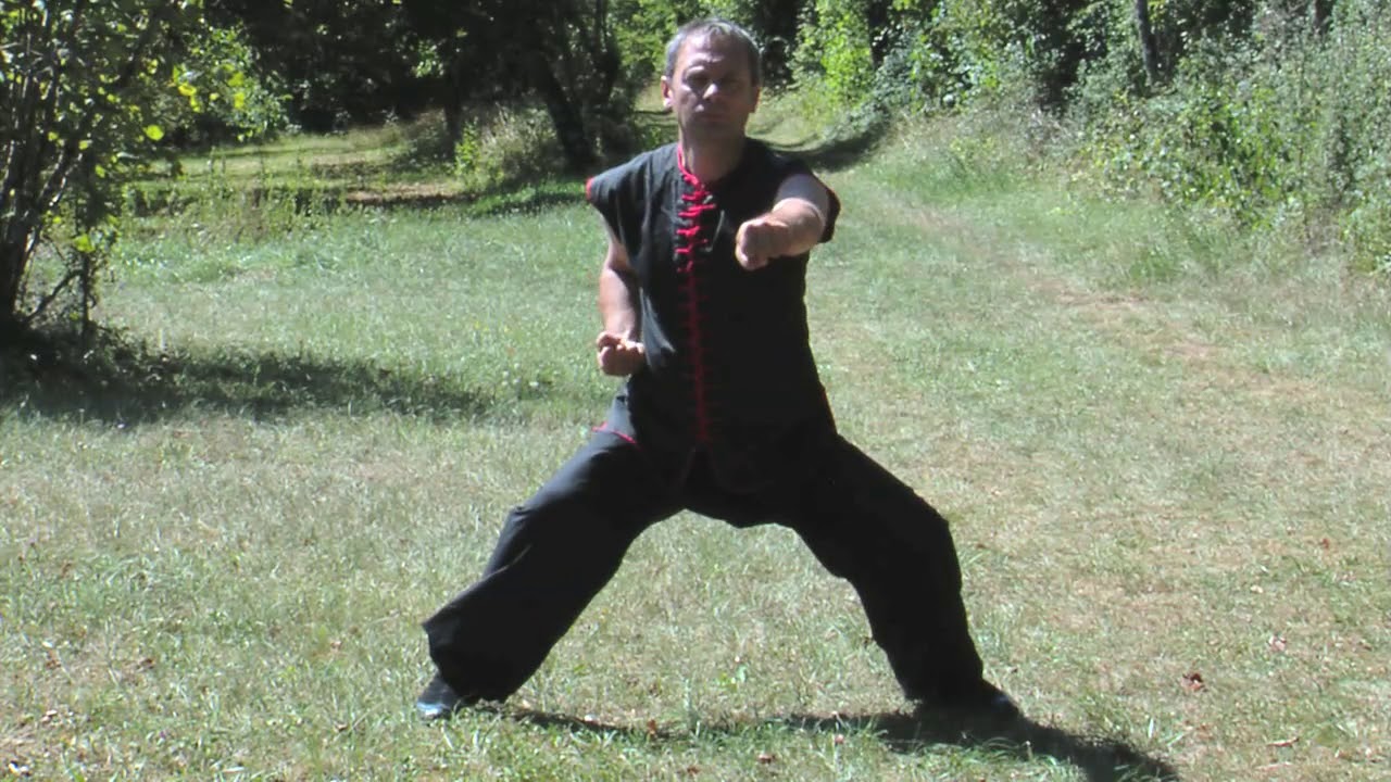 Apprenez le Kung Fu - débutants