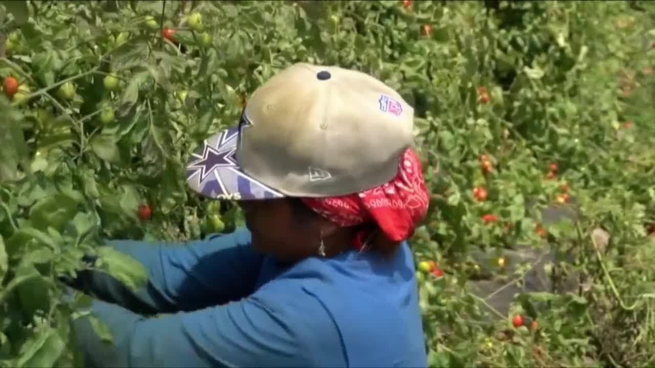 Push to improve migrant worker living conditions