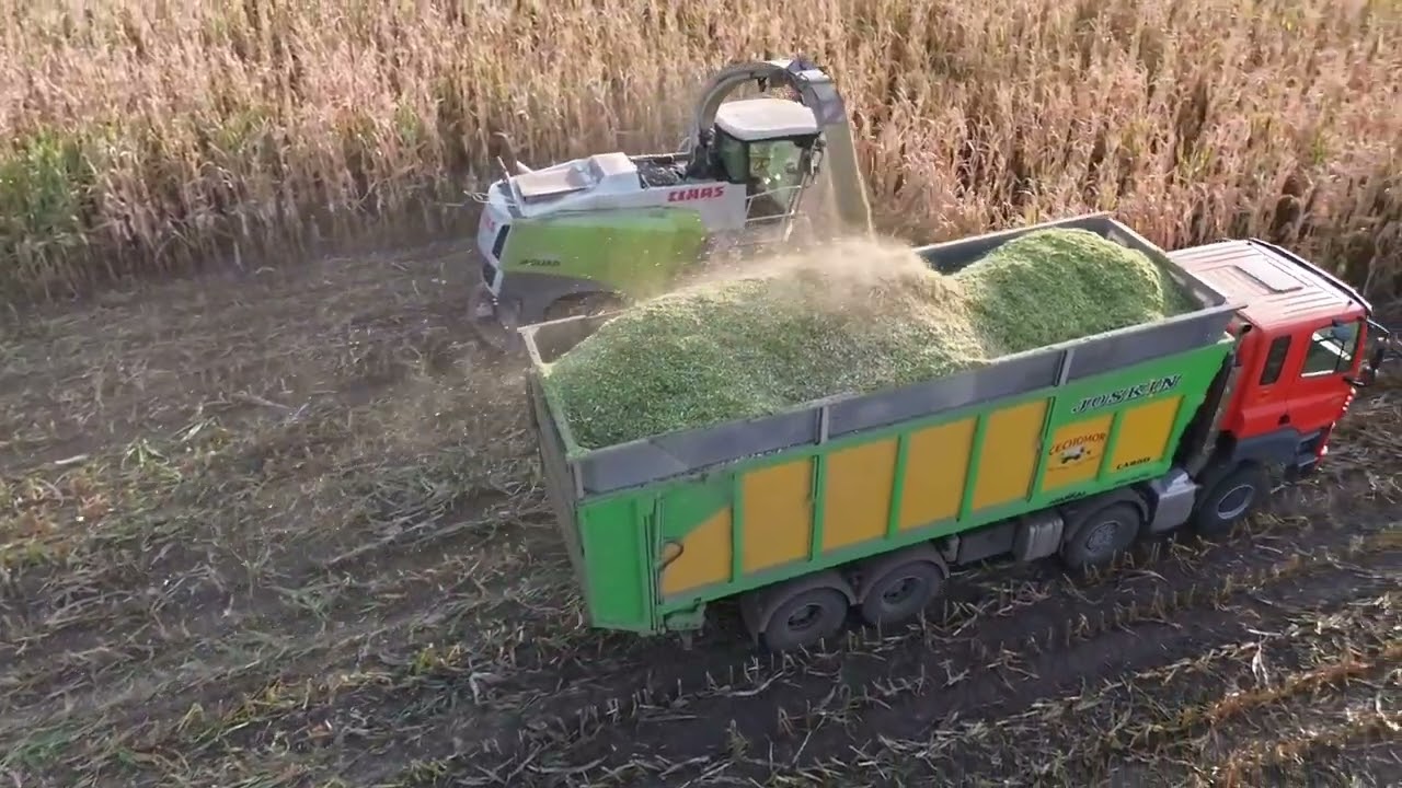 🌽 AgroContract Mikuláš a.s 2024 /Siláže /Silozás /Chopping Corn/ 🌽