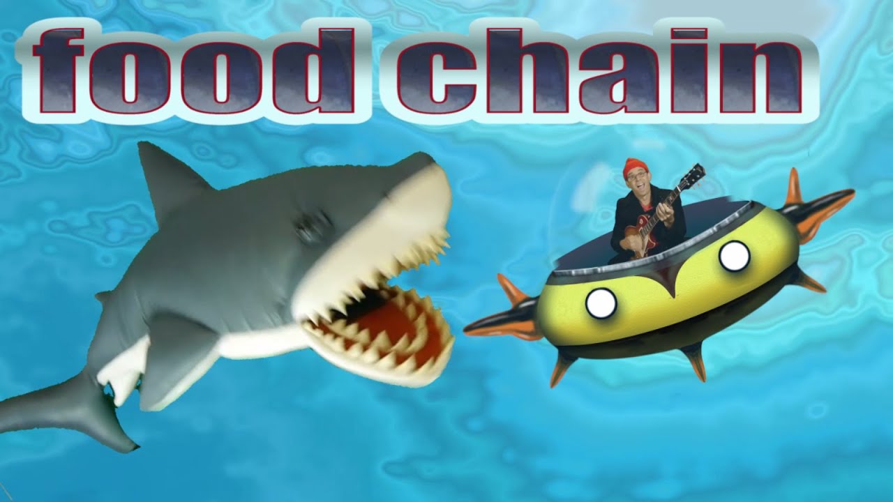 Ocean food chain song. What's the fastest shark? Sharks for kids