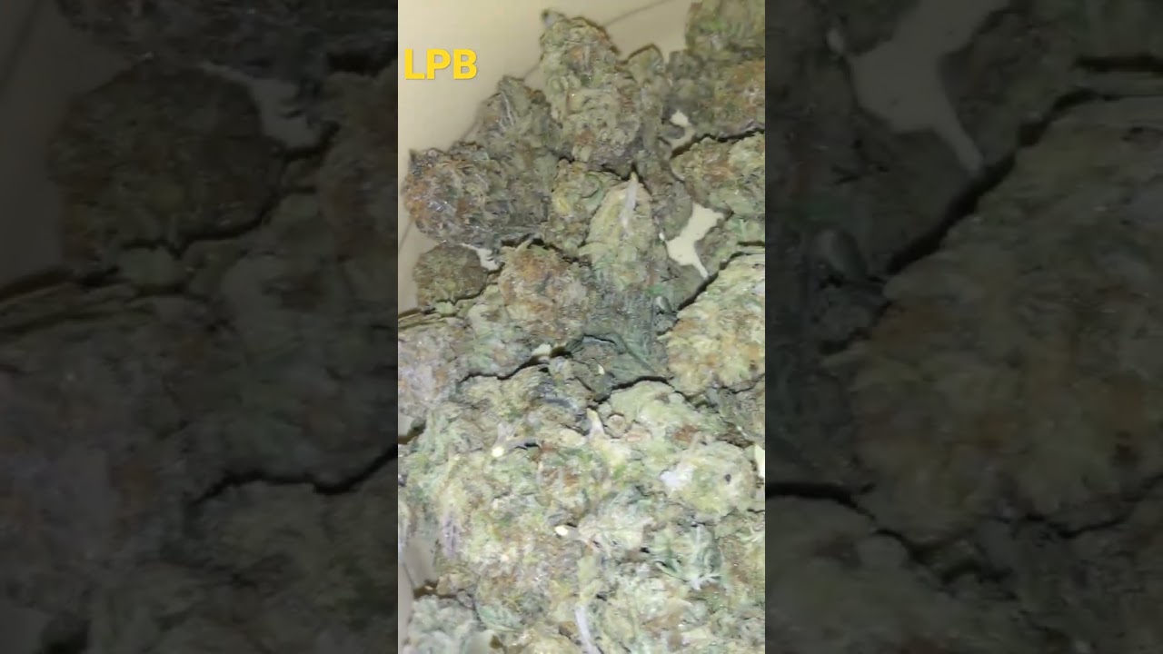 low price bud #weed LA kush cake
