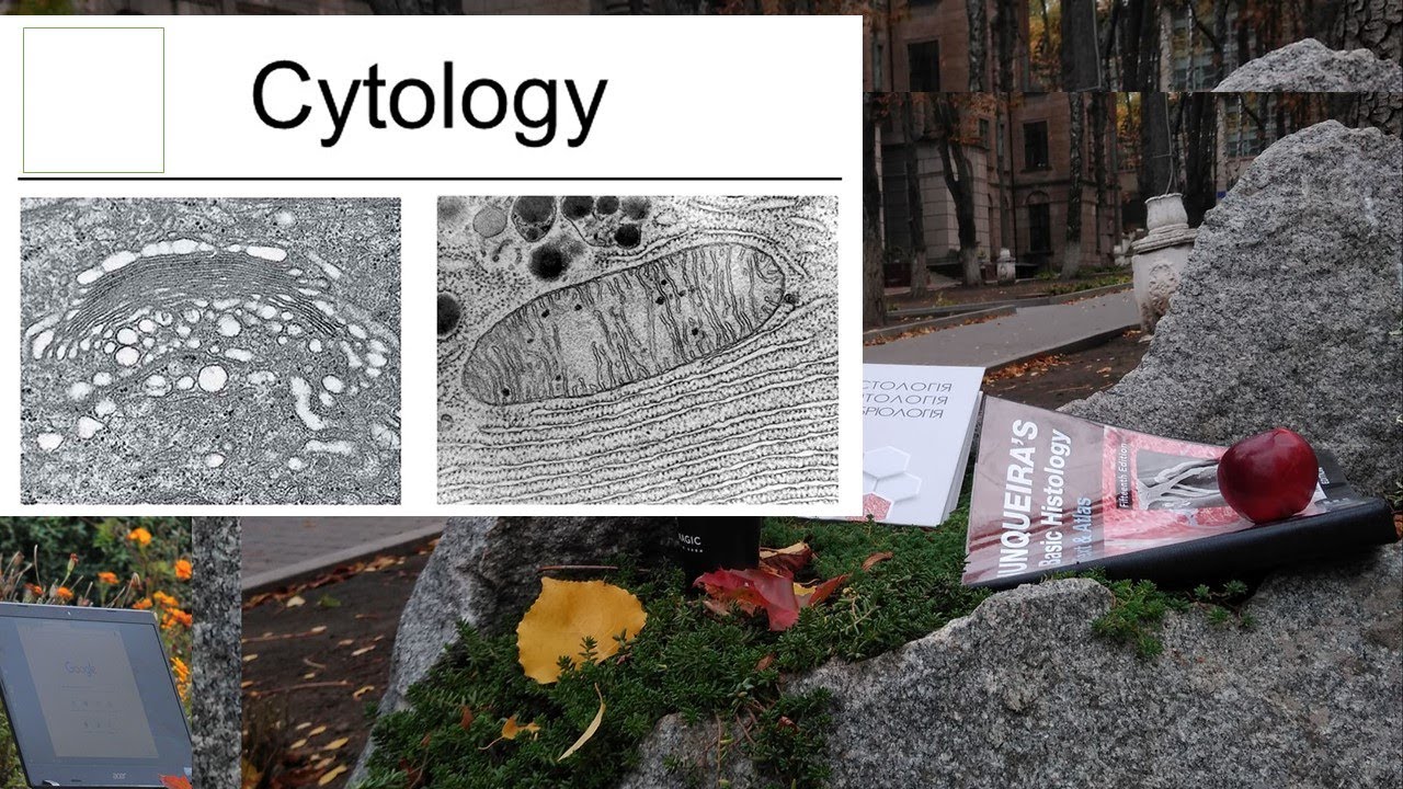 1.Cytology I plasma membrane organelles (Cytology lecture)