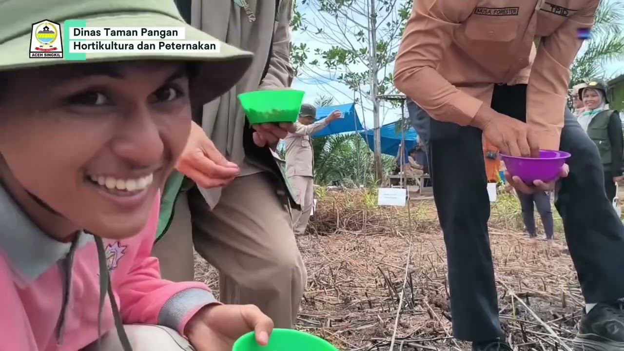 Tanam Perdana Komoditi Jagung Poktan Suka Damai Desa Gosong Telaga Selatan  #DTPHP #acehsingkil 