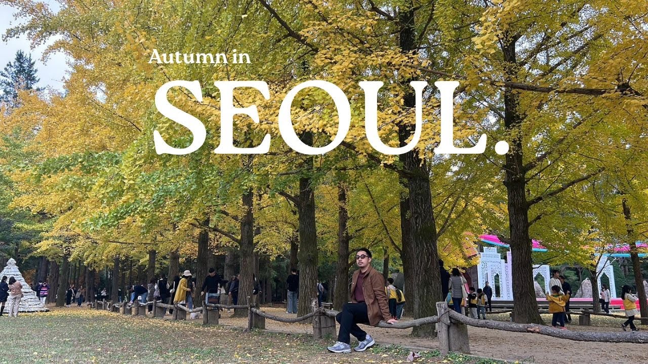 SEOUL Korea, Autumn in Seoul Nami Island, Garden of Morning Calm, Alpaca World, Myeongdong, Hongdae