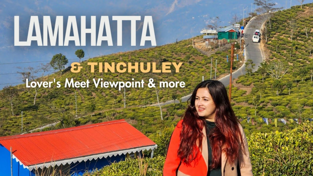 Darjeeling Day -1 | Tinchuley, Lamahatta, Lover's Meet Viewpoint Circuit Tour Guide