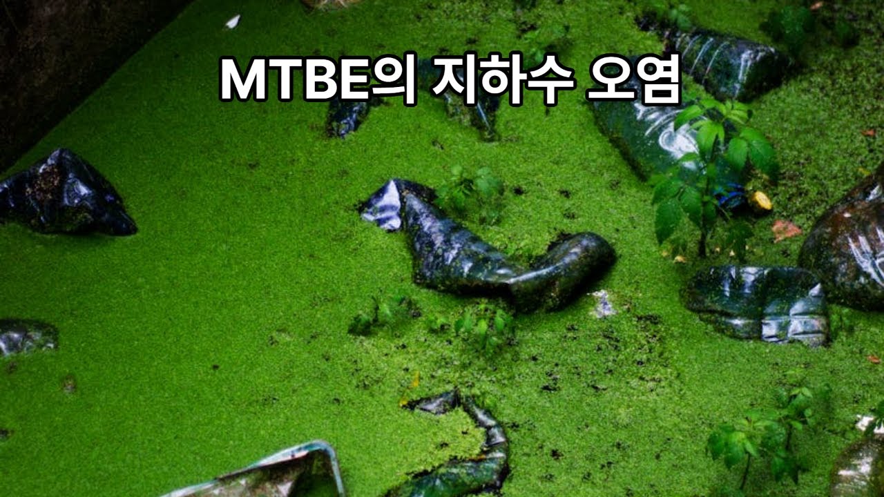 MTBE 지하수오염 정화기법