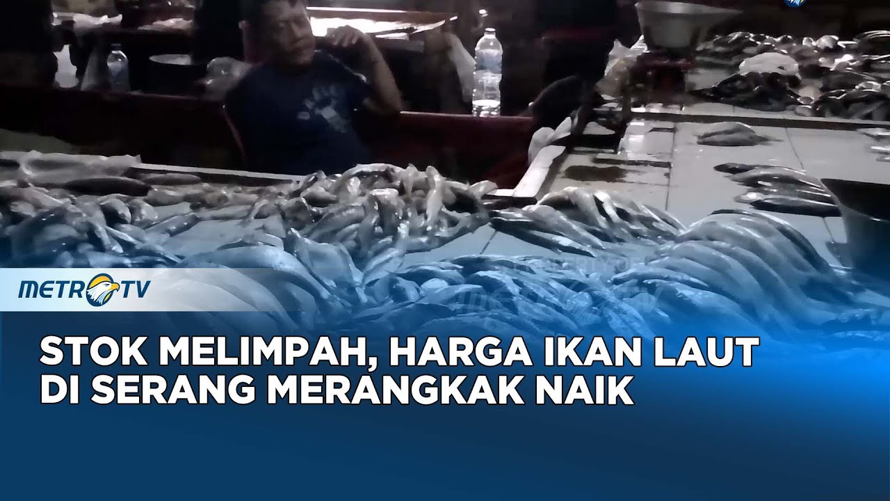 Harga Ikan Laut Naik di Pasar Rau, Konsumen Tetap Memburu