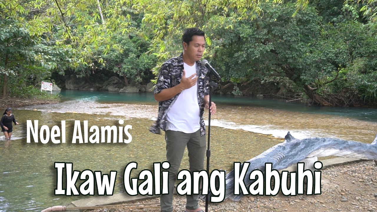 Ikaw Gali Ang Kabuhi - Noel Alamis