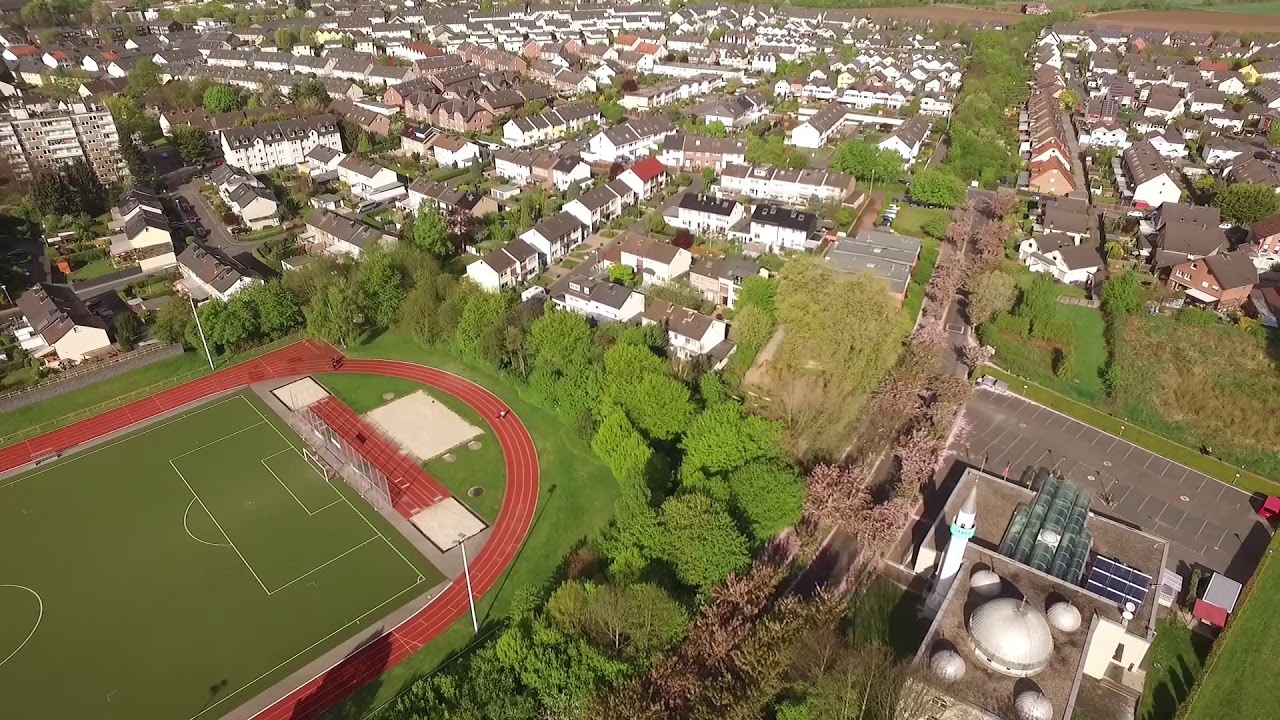 Kirschblütenallee in Niederkassel-Ranzel