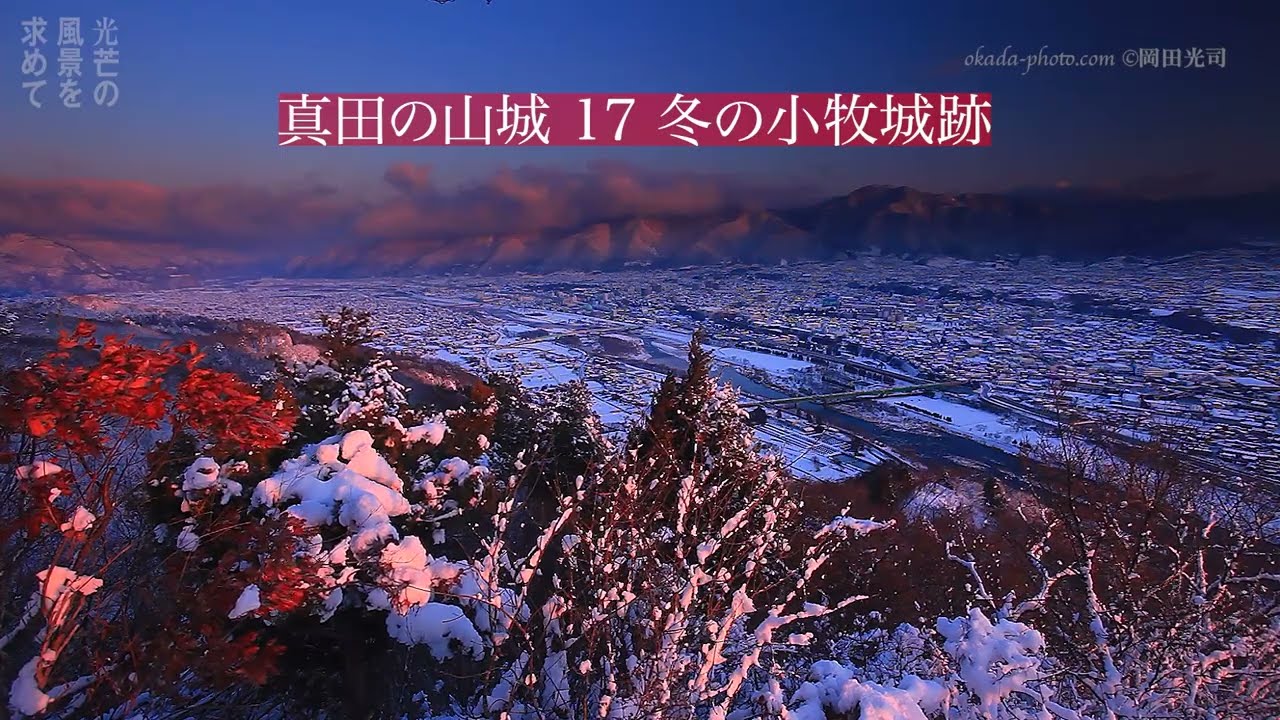 真田の山城 17 冬の小牧城跡