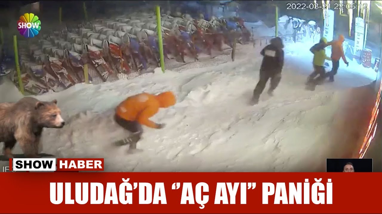 Ayıdan böyle kaçtılar!