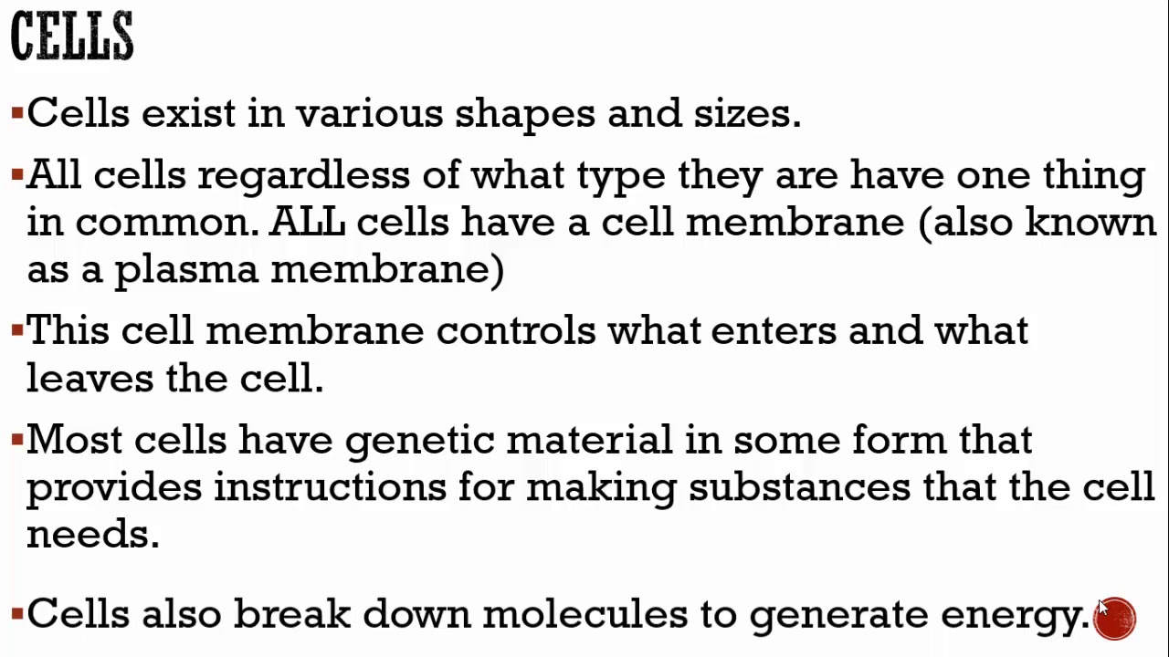 Cell Theory and Microscopes