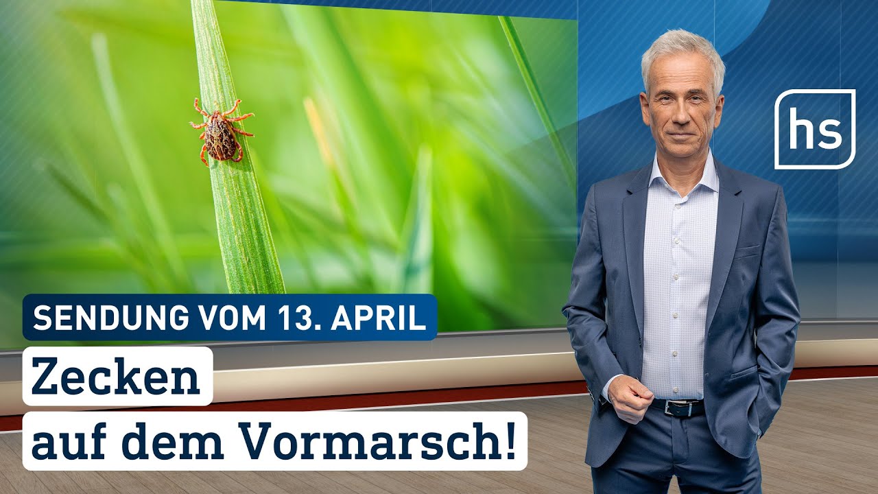Zecken auf dem Vormarsch! | hessenschau vom 13.04.2024