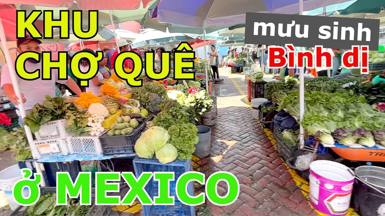 CUỘC SỐNG MƯU SINH BÌNH DỊ CỦA NGƯỜI MEXICO Ở KHU CHỢ QUÊ THÂN QUEN NGOẠI Ô MEXICO CITY