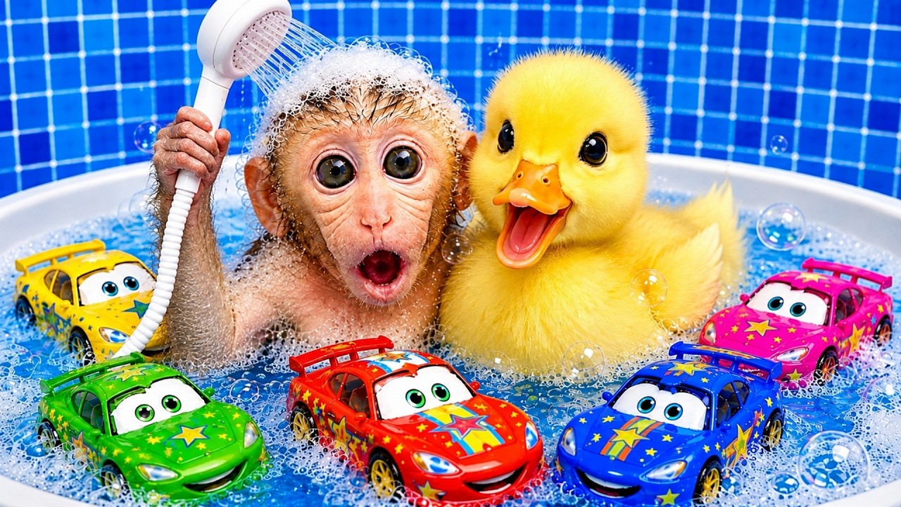 Monkey BonBon kąpie się z kaczątkiem i autkami! 🚿🦆🚗 - Monkey Poland
