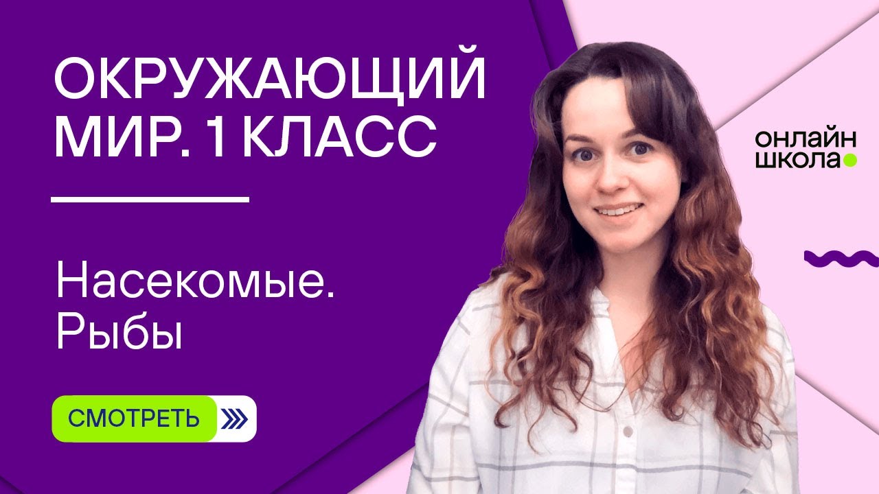 Видеоурок 6. Насекомые. Рыбы. Окружающий мир 1 класс
