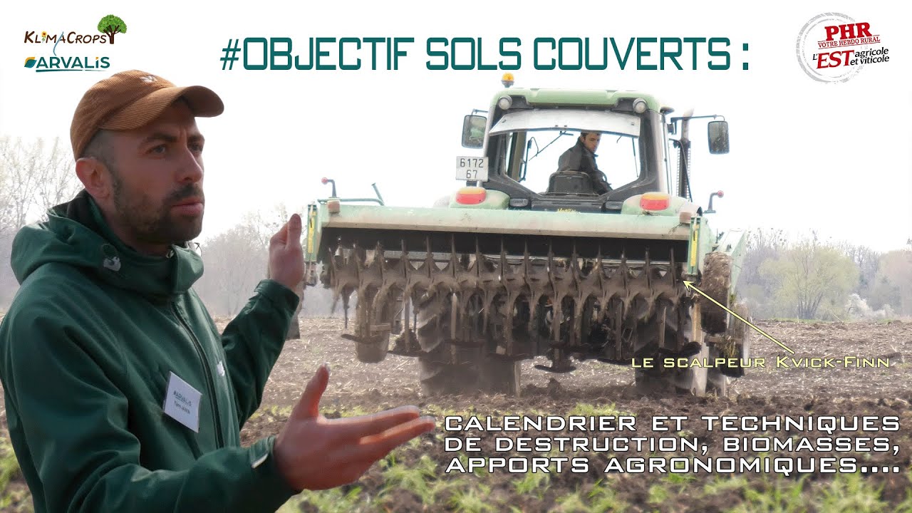 Objectif Sols Couverts (3/5) : Quand et comment détruire son couvert ?