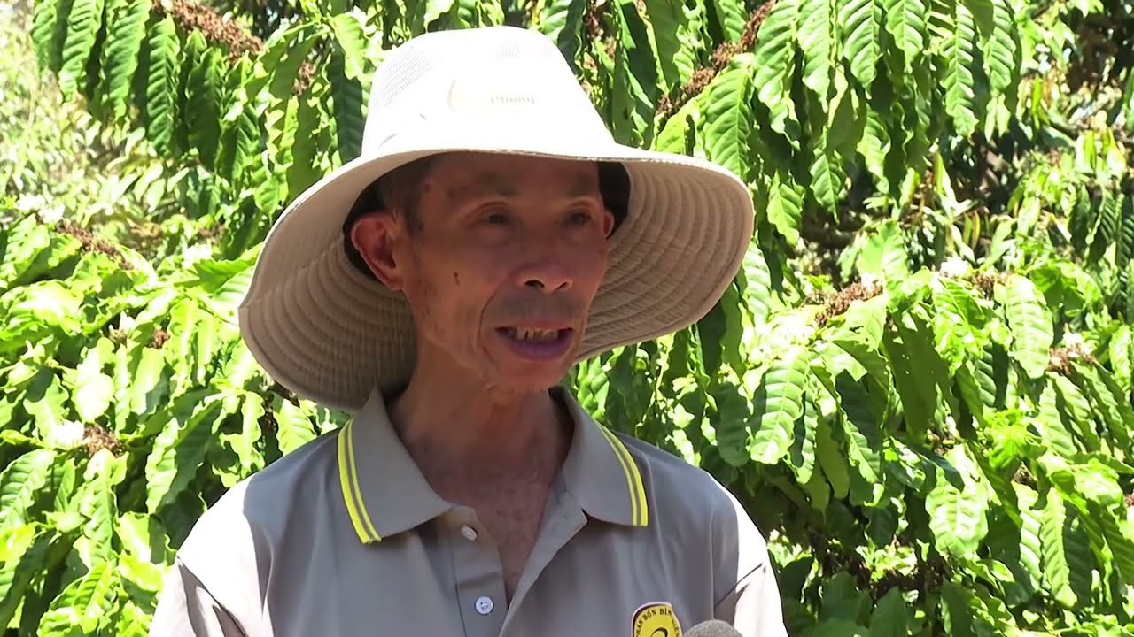 Cà Phê, Sầu Riêng