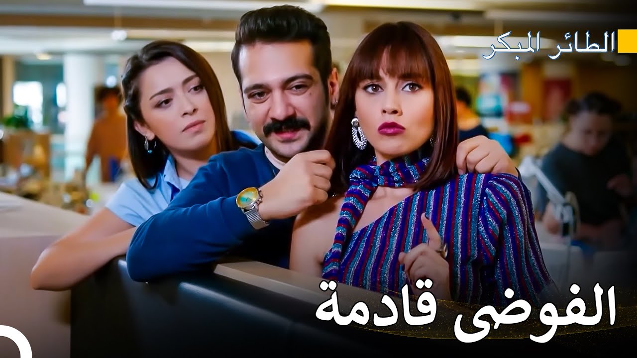 إذا كان الجميع مستعدًا، فلنبدأ اللعبة - سلسل الطائر المبكر