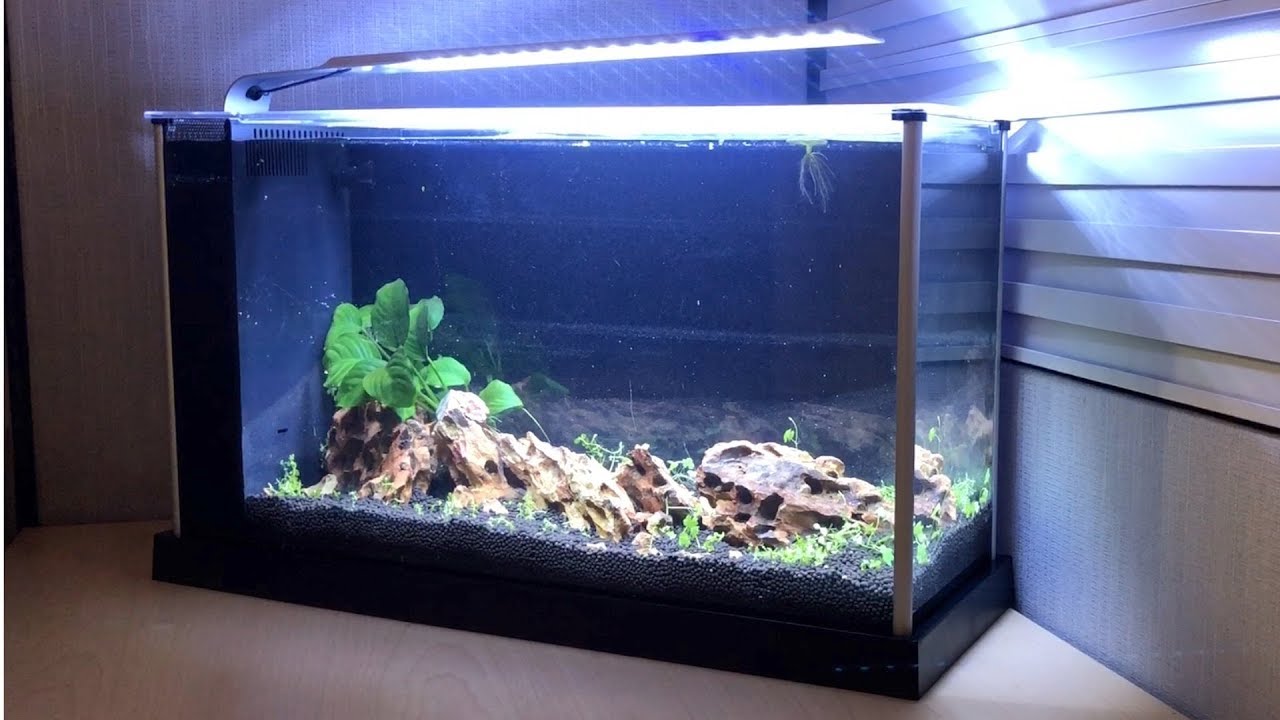 Fluval Spec 5 for Kevin