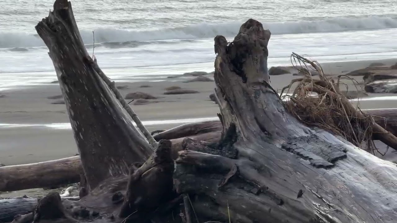 Rock hounding MY BIGGEST AGATE