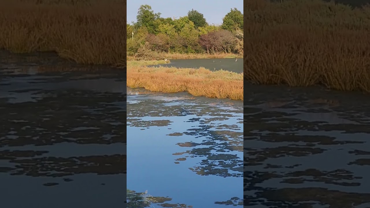 Riserva Naturale regionale Valle Cavanata Grado GO Italy