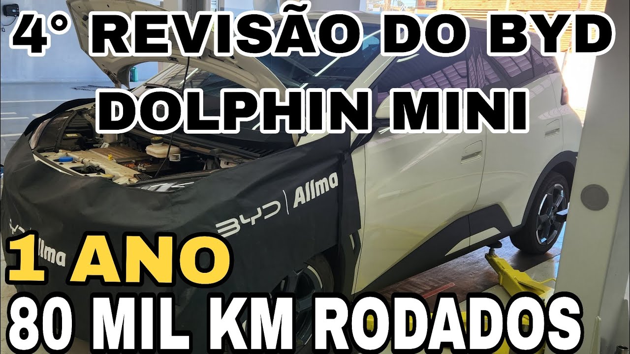 BYD DOLPHIN MINI 2025 | Revis&atilde;o de 80 mil km | O que Troquei e Quanto Gastei Opini&atilde;o do Dono!!!