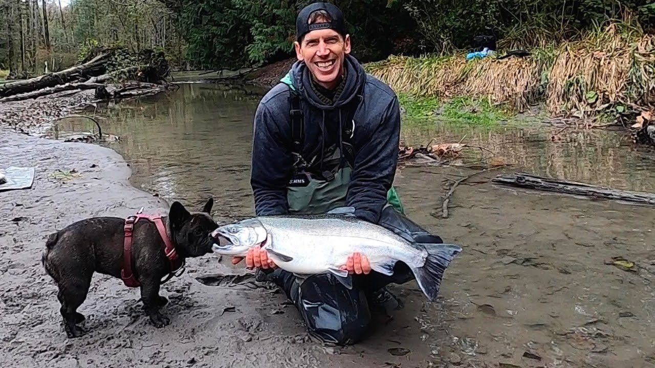 My Biggest Coho Salmon Ever On The River!! Catch & Cook!