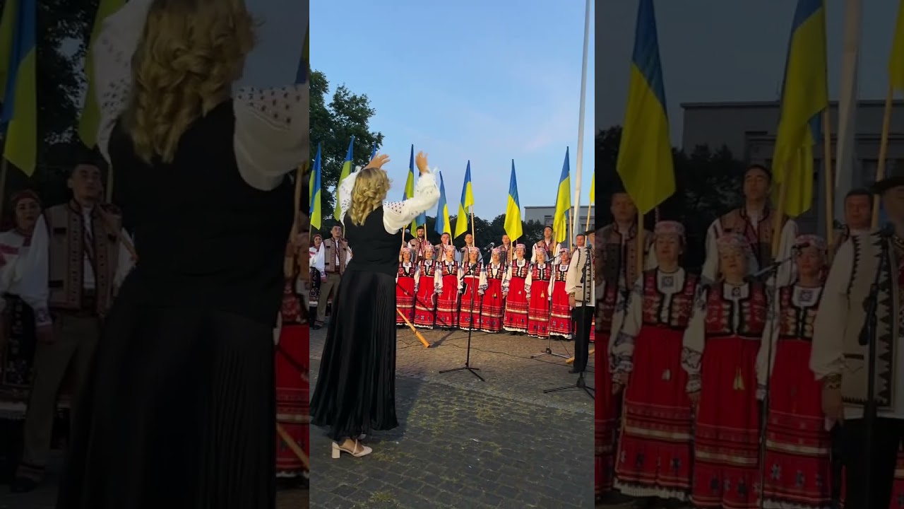 Верховина, мати моя
