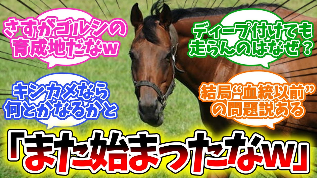 『またこの流れ？ビッグレッド』に対するみんなの反応集【競馬】