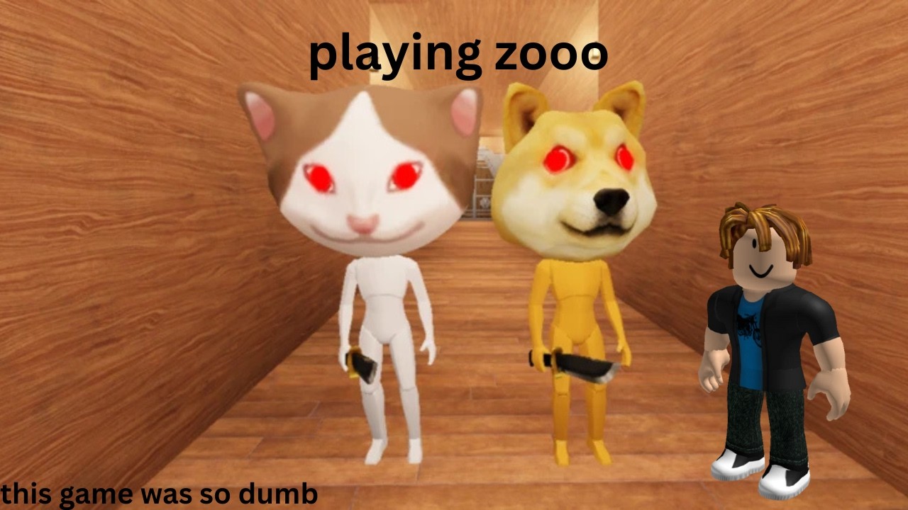 playing zooo