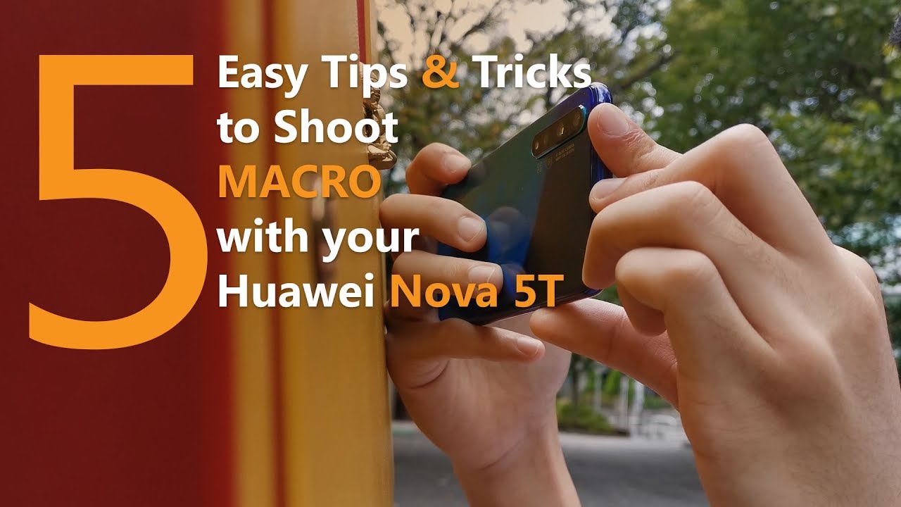 Huawei Nova 5T Macro Photography | Tips, Tricks & Basics